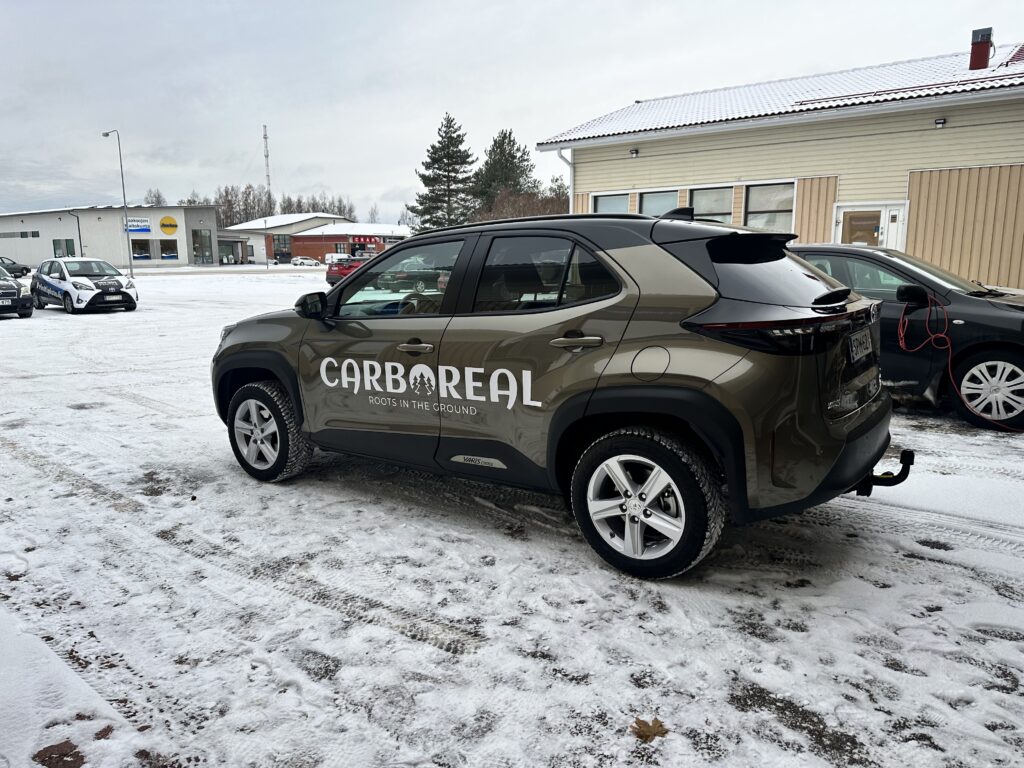 Carboreal maasturi teippaus